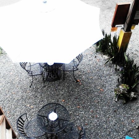 Lizard King Resort Puerto Viejo de Talamanca エクステリア 写真