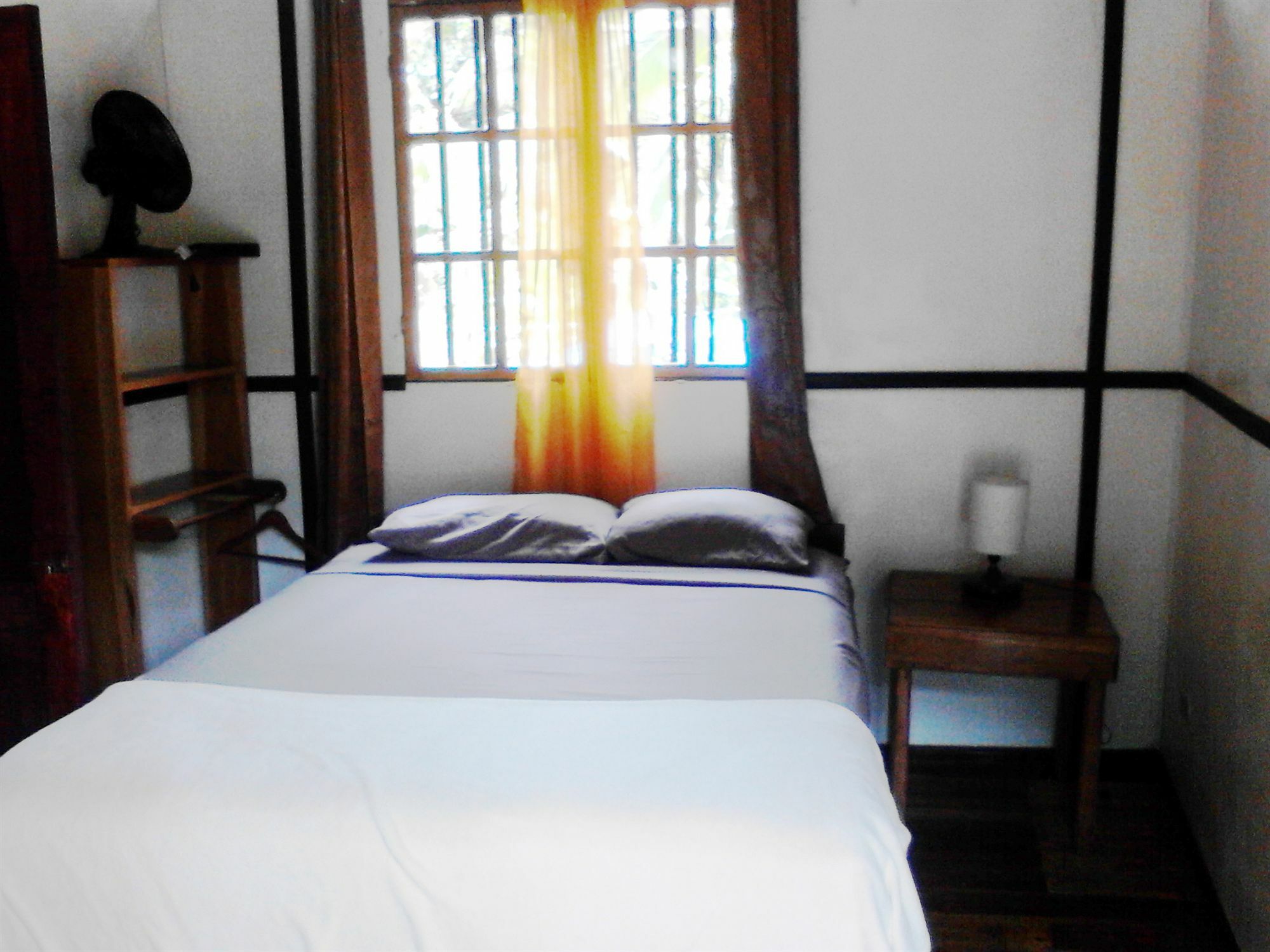 Lizard King Resort Puerto Viejo de Talamanca エクステリア 写真